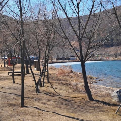 비슬산둘레길2구간(옥연지송해공원둘레길) 사진 4