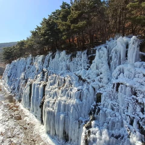 비슬산둘레길2구간(옥연지송해공원둘레길) 사진 6