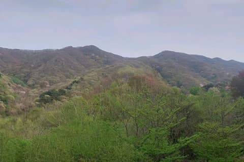 백운산둘레길1코스(천년의숲길) 사진 1