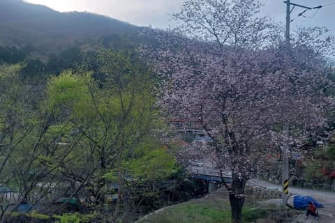 백운산둘레길1코스(천년의숲길) 사진 3