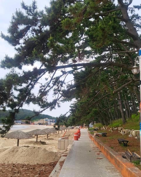 서해랑길1코스 사진 9