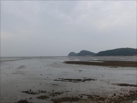서해랑길90코스 사진 2