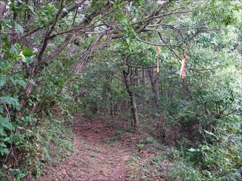 서해랑길90코스 사진 10