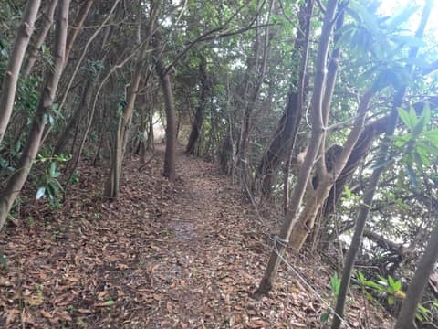 제주올레길3-B코스 사진 3