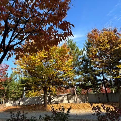 고양누리길14코스(바람누리길) 사진 1
