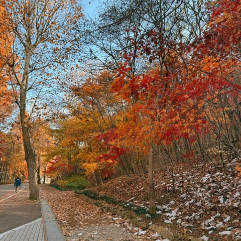 서울대공원동물원관리도로 사진 8