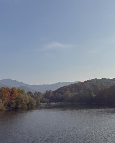 서울대공원동물원관리도로 사진 10
