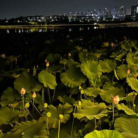 전주기지제수변산책로 사진 4