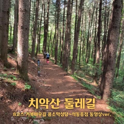 치악산둘레길8코스(거북바우길) 사진 1