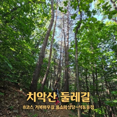 치악산둘레길8코스(거북바우길) 사진 5