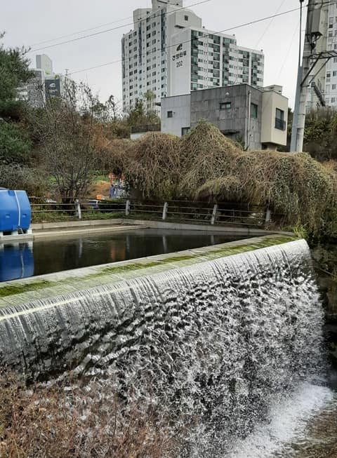 군포수릿길6코스(자연마을길-갈치호수길) 사진 2