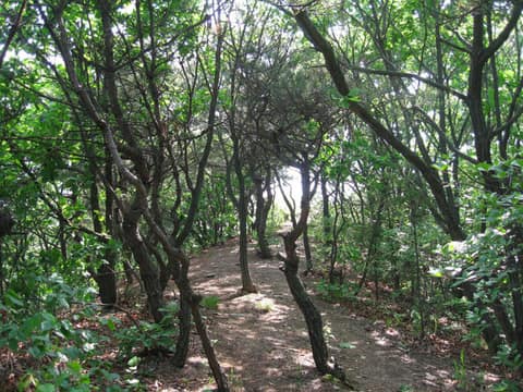 살래길 사진 1