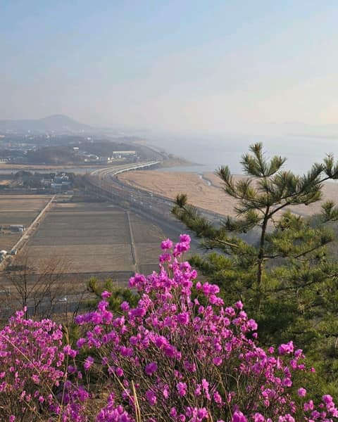 살래길 사진 4