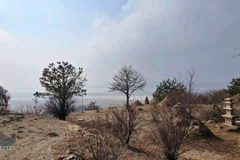 살래길 사진 5