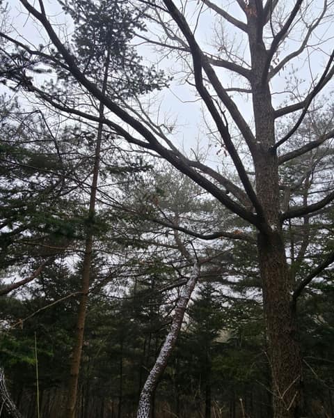 살래길 사진 9