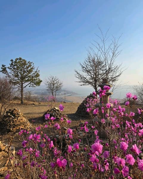살래길 사진 10