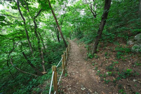 서산아라메길 사진 6