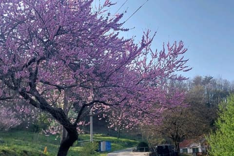 백운산둘레길2코스(만남이있는길) 사진 2