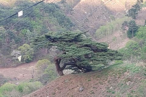 백운산둘레길2코스(만남이있는길) 사진 3
