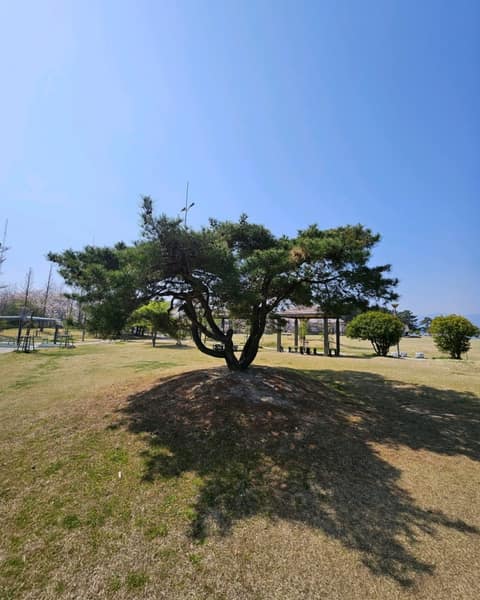바우길5구간(바다호숫길) 사진 6