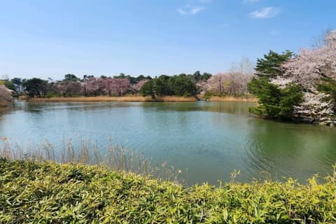 바우길5구간(바다호숫길) 사진 7