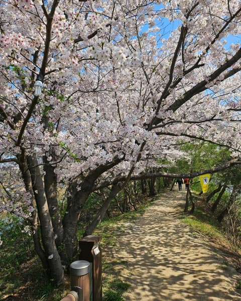 바우길5구간(바다호숫길) 사진 9