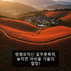 바우길3구간(어명을받은소나무길) 사진 8
