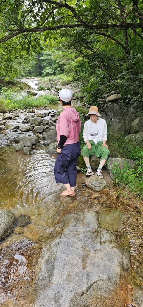 바우길2구간(대관령옛길) 사진 10