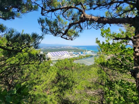 바우길8구간(산우에바닷길) 사진 7