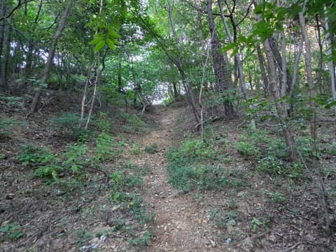 평택섶길8코스(진위현길) 사진 2