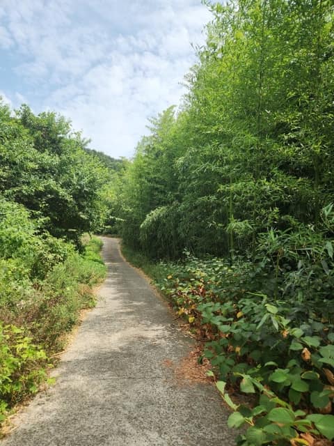 남해바래길15코스(구두산목장길) 사진 2