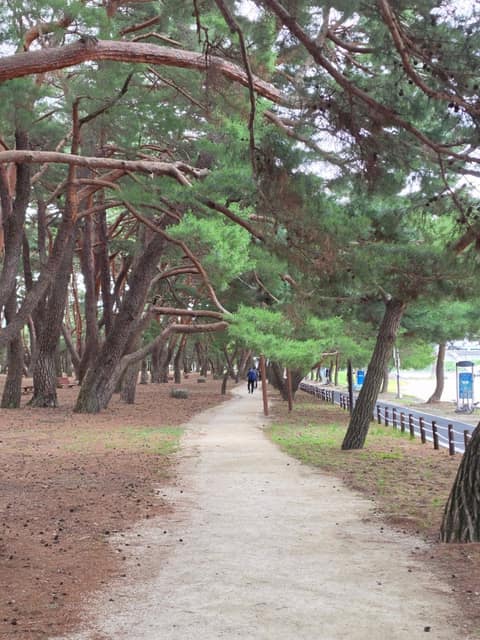 남파랑길47코스 사진 2