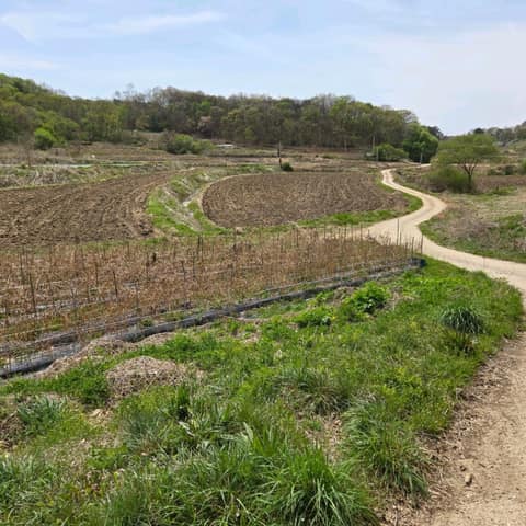 경기둘레길파주8코스 사진 6
