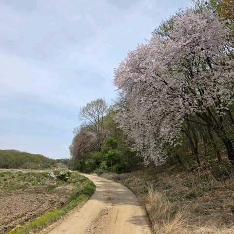 경기둘레길파주8코스 사진 7