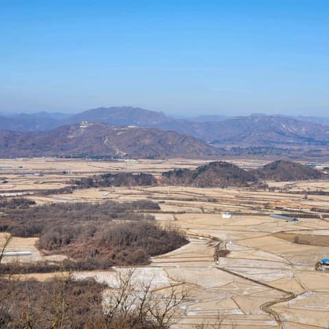 소이산생태숲녹색길 사진 4