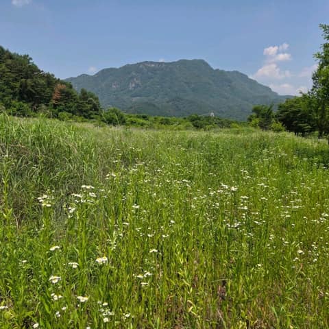 경기둘레길연천-포천13코스 사진 7