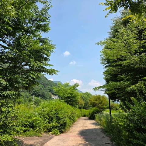 경기둘레길연천-포천13코스 사진 8