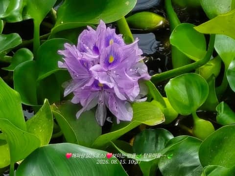 남파랑길25코스 사진 2