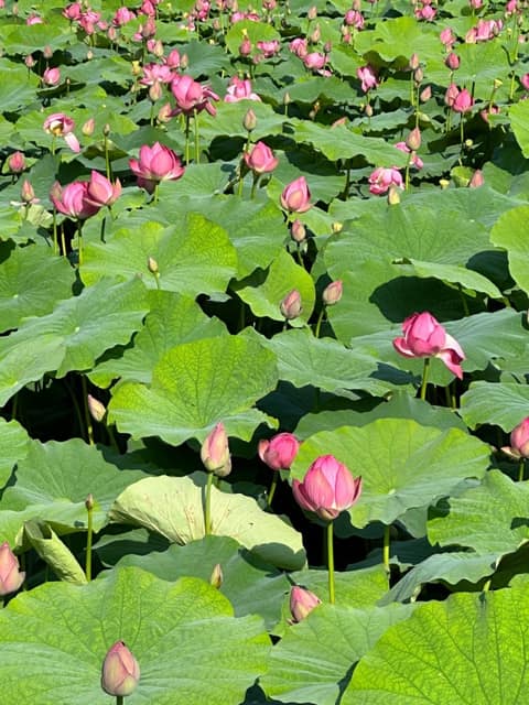 남파랑길25코스 사진 4
