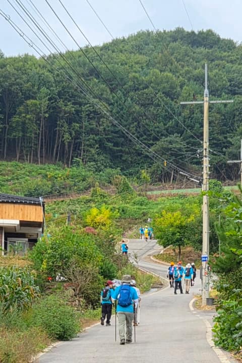 치악산둘레길4코스(노구소길) 사진 8