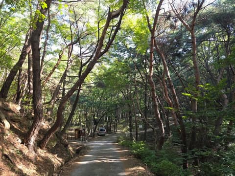 팔공산 사진 4