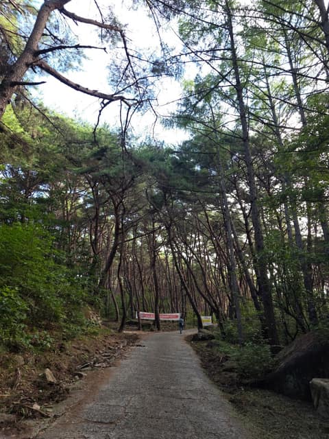 대구올레팔공산1코스 사진 3