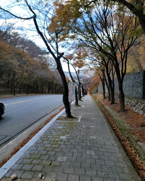 대구올레팔공산1코스 사진 5