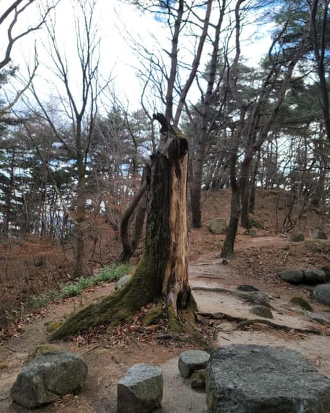 대구올레팔공산1코스 사진 8