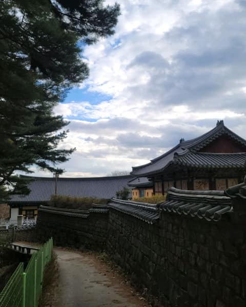 대구올레팔공산1코스 사진 9