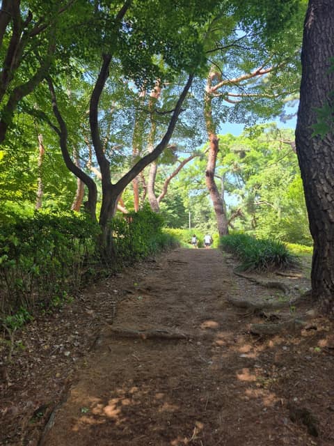 서울대공원산림욕장길 사진 1