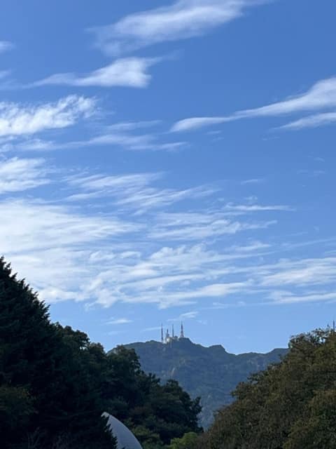 서울대공원산림욕장길 사진 6