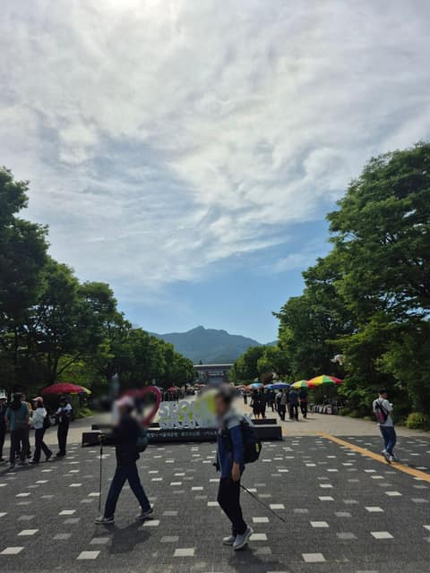 서울대공원산림욕장길 사진 9