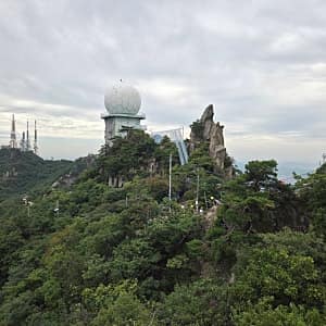 서울대공원산림욕장길 사진 10