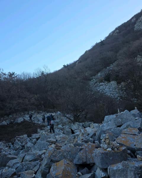 해남달마고도 사진 4